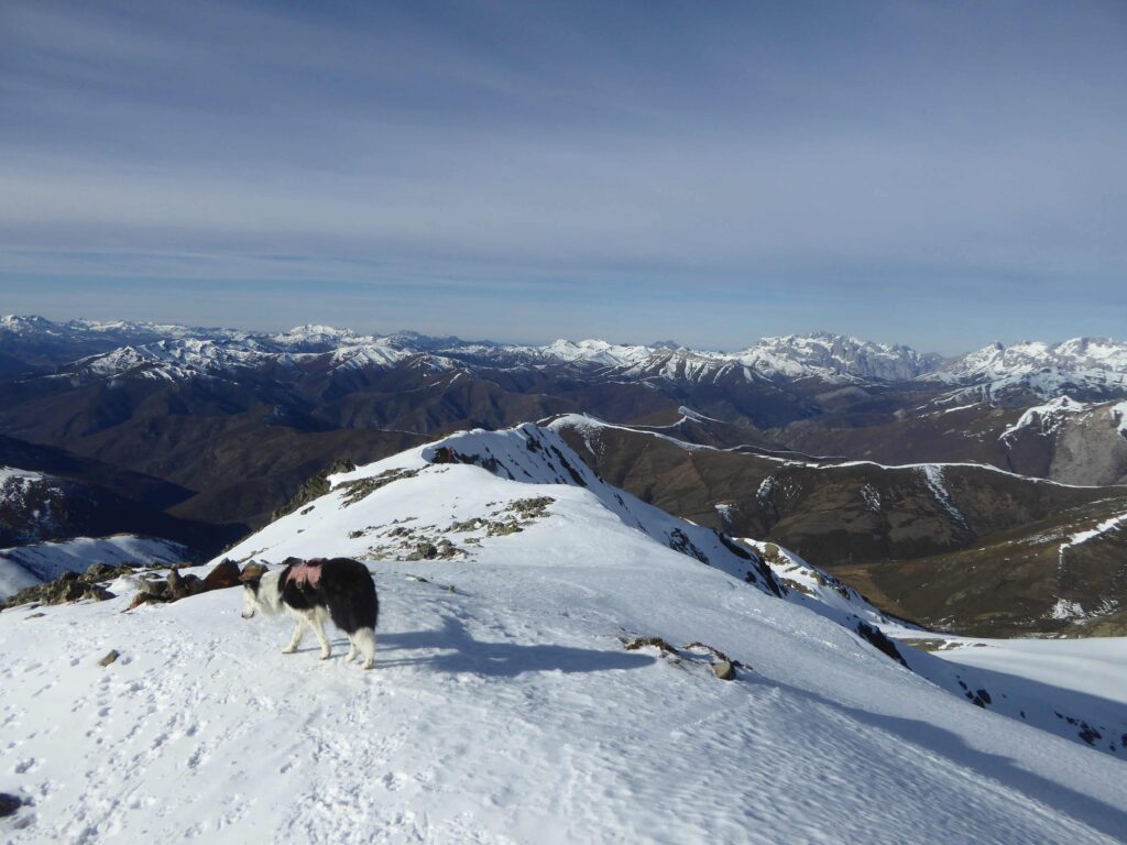 PICO MURCIA 2351M POR CDO CEREZUELA p1230885