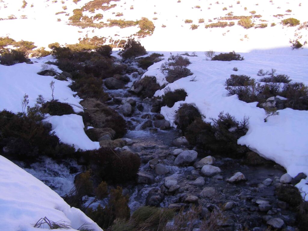 PICO GUADAÑAS 2248M y LAS CUARTAS 2457 M 190