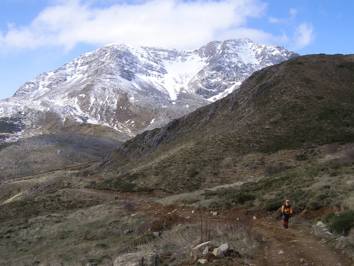 20el montihuero