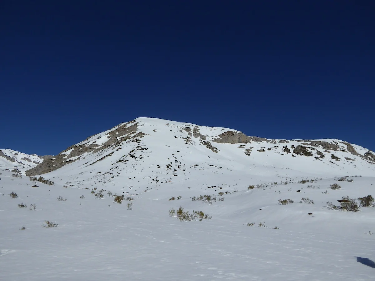 p1200156