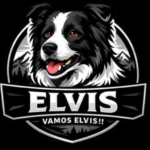 img 20260127 wa0001 e1772989573864