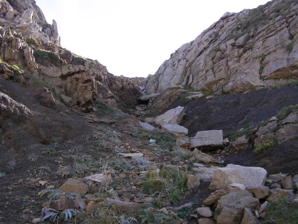 montihuero 035