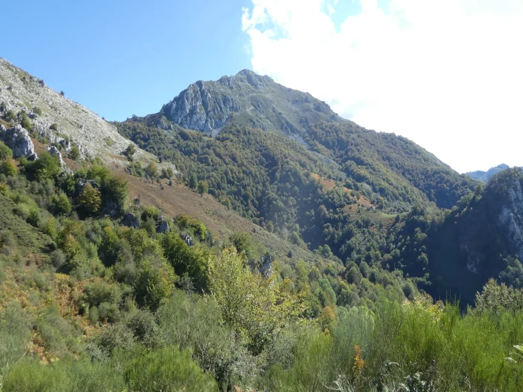 p1100168