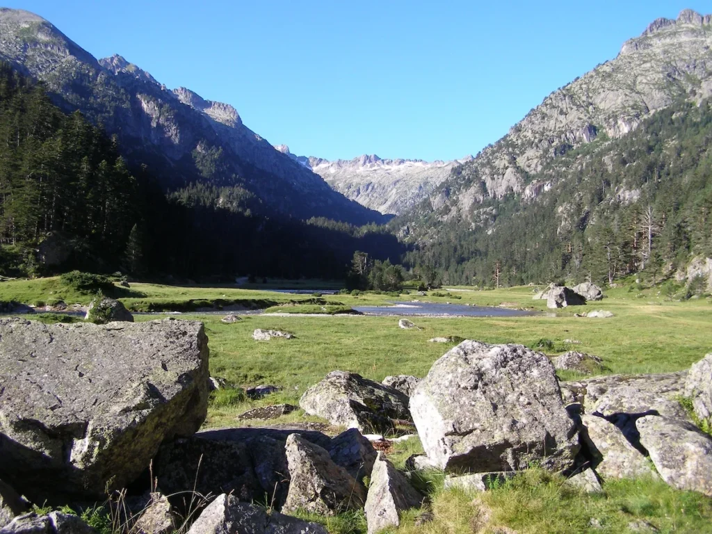 p8100193