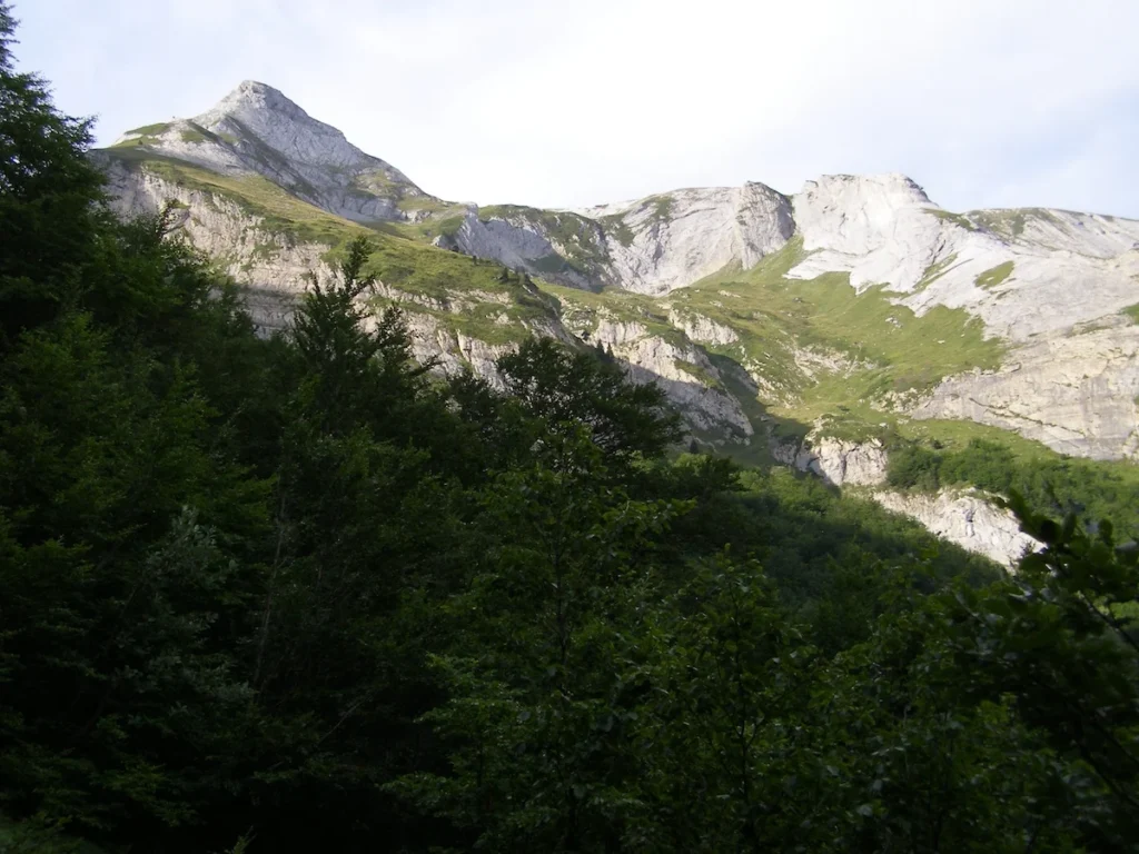 piris cerron 018