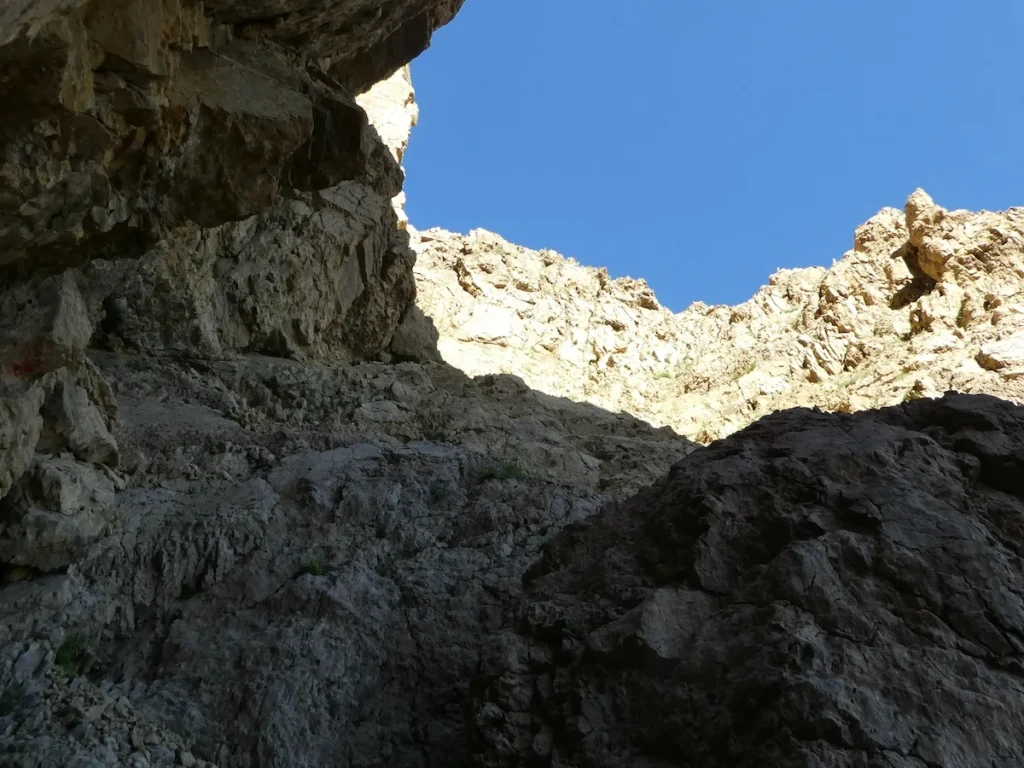 p1100341