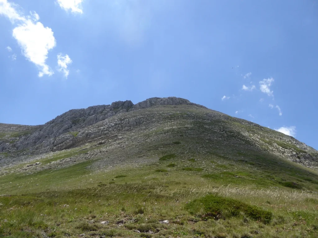 p1240206